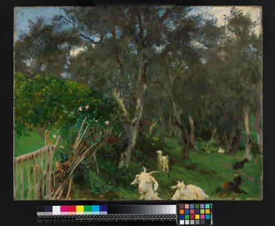 Olives in Corfu by John Singer Sargent
